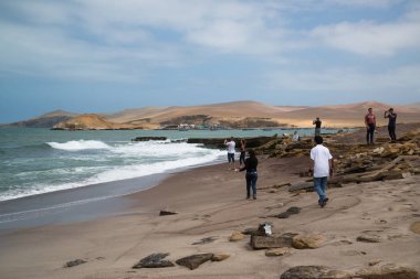 Paracas, Peru, yaklaşık Eylül 2017: Paracas Ulusal Rezervi, Peru. Rezerv'in temel amacı deniz ekosistemini ve tarihi kültürel mirası korumaktır.