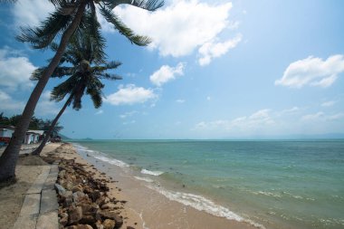 okyanusun güzel kumlu sahil ve turkuaz su