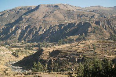 Colca Canyon (Canon Del Colca), Peru, Güney Amerika