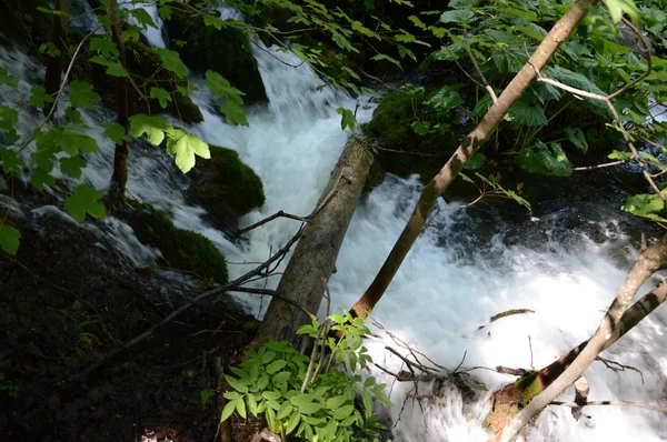 Parque Nacional Lagos Cascadas Plitvice Croacia — Foto de Stock