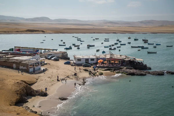 Paracas Perú Alrededor Septiembre 2017 Reserva Nacional Paracas Perú Objetivo Imágenes De Stock Sin Royalties Gratis