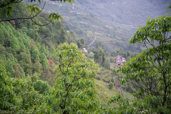 Annapurna Caminata Santuario Nepal Himalaya — Foto de Stock