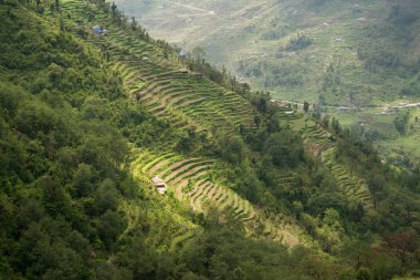 Nepal Himalaya Annapurna kutsal trek