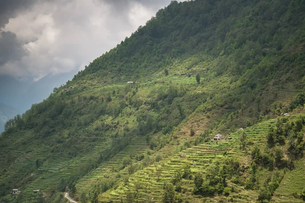 Caminhada Santuário Annapurna Nepal Himalaia — Fotografia de Stock