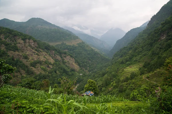 Annapurna Sanctuary Trek Nepal Himalaya — Stock Photo, Image