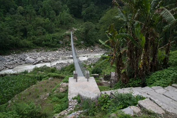 Ponte Sul Santuario Annapurna Trekking Nepal Himalaya — Foto Stock