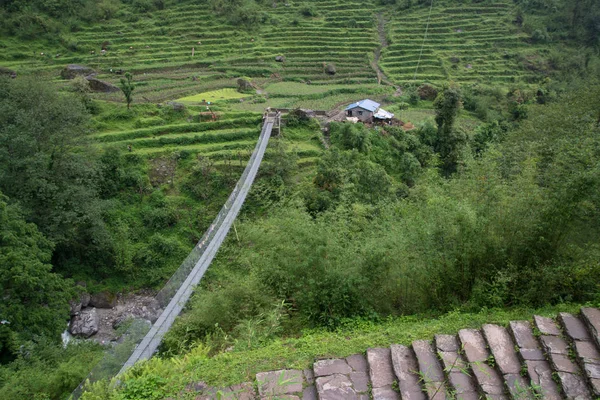 Γέφυρα Για Καταφύγιο Ανπουνάνα Ταξίδι Στο Νεπάλ Ιμαλάια — Φωτογραφία Αρχείου