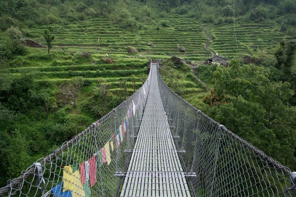 Γέφυρα Για Καταφύγιο Ανπουνάνα Ταξίδι Στο Νεπάλ Ιμαλάια — Φωτογραφία Αρχείου