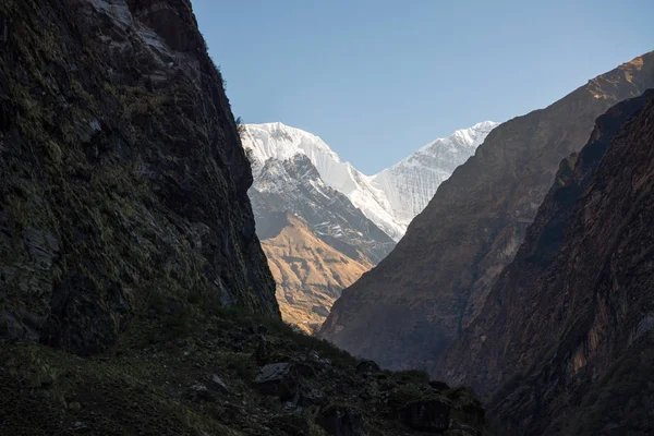 ネパールヒマラヤのアンナプルナサンクチュアリトレッキング — ストック写真