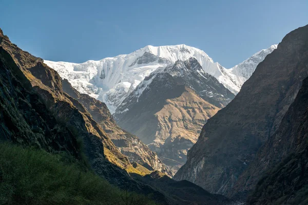 Annapurna Caminata Santuario Nepal Himalaya — Foto de Stock