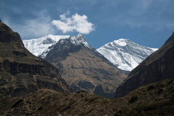 Annapurna Caminata Santuario Nepal Himalaya — Foto de Stock