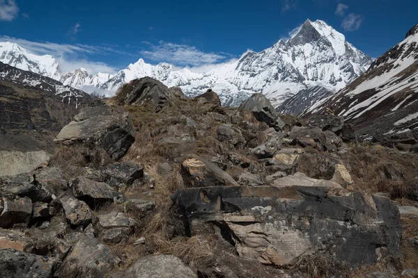 Annapurna Caminata Santuario Nepal Himalaya — Foto de Stock