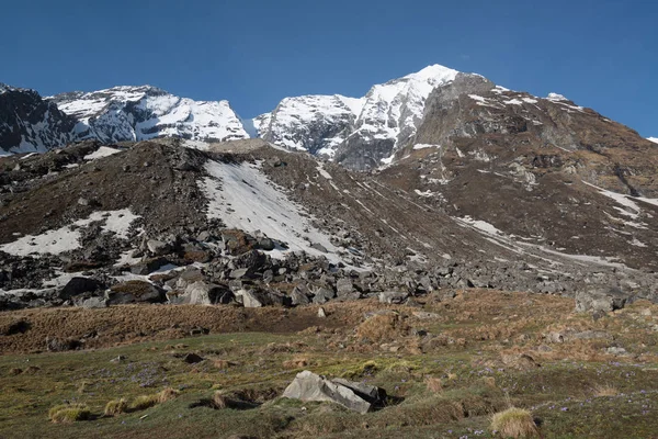 Annapurna Caminata Santuario Nepal Himalaya — Foto de Stock