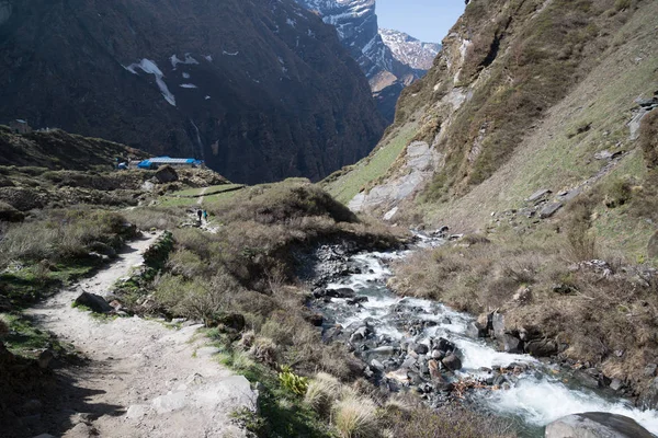 Annapurna Caminata Santuario Nepal Himalaya — Foto de Stock