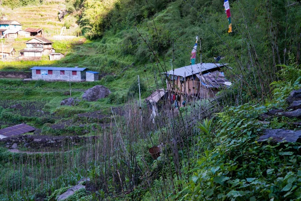 Annapurna Caminata Santuario Nepal Himalaya —  Fotos de Stock