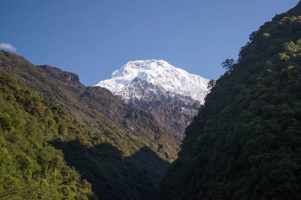 Annapurna Sanctuary Trek Nepal Himalaya — Stockfoto