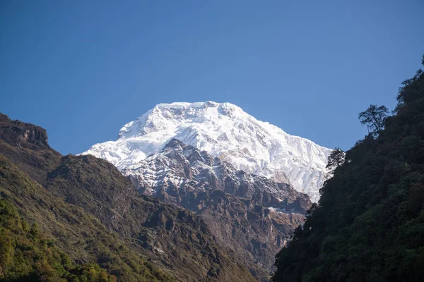 Annapurna Sanctuary Trek Nepal Himalaya — Stockfoto