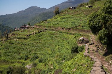 Nepal Himalaya Annapurna kutsal trek