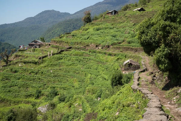 Annapurna Caminata Santuario Nepal Himalaya — Foto de Stock