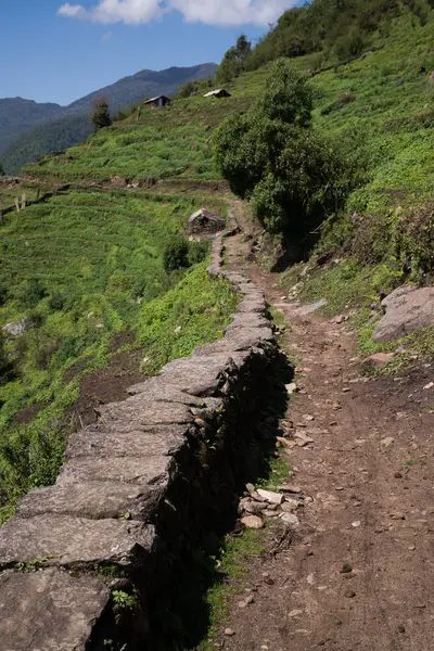 Annapurna Caminata Santuario Nepal Himalaya — Foto de Stock