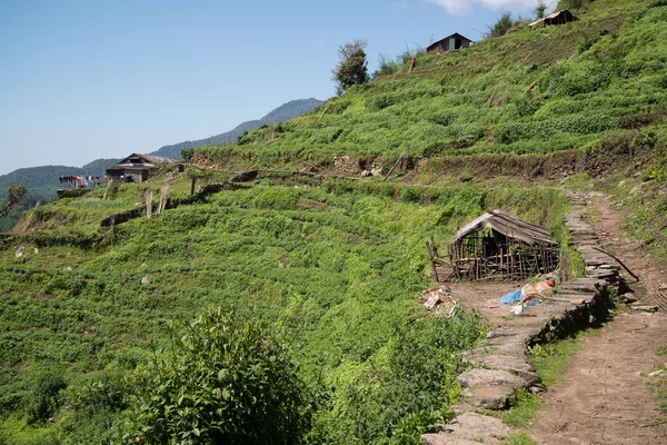 Καταφύγιο Στο Νεπάλ Ιμαλάια — Φωτογραφία Αρχείου
