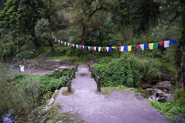 Annapurna Caminata Santuario Nepal Himalaya — Foto de Stock