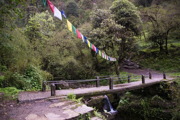 Annapurna Caminata Santuario Nepal Himalaya — Foto de Stock