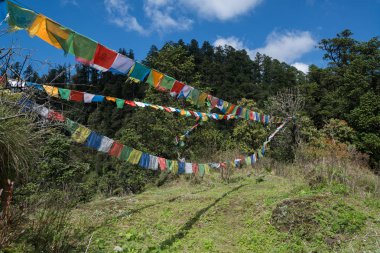 Nepal Himalaya Annapurna kutsal trek bayrakları 