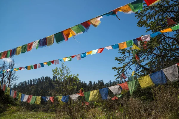 Nepal Himalaya Annapurna Kutsal Trek Bayrakları — Stok fotoğraf