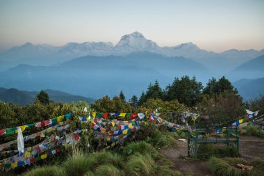 Dhaulagiri (8167m) Nepal Himalaya Annapurna kutsal trek Poon Hill dağ