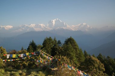 Dhaulagiri (8167m) Nepal Himalaya Annapurna kutsal trek Poon Hill dağ