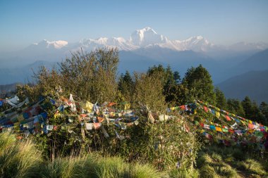 Dhaulagiri (8167m) Nepal Himalaya Annapurna kutsal trek Poon Hill dağ