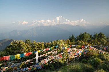 Dhaulagiri (8167m) Nepal Himalaya Annapurna kutsal trek Poon Hill dağ