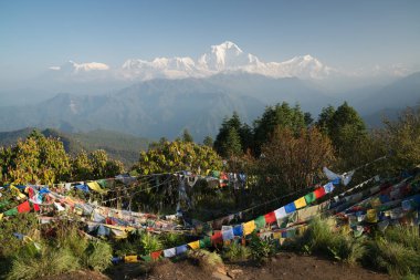 Dhaulagiri (8167m) Nepal Himalaya Annapurna kutsal trek Poon Hill dağ