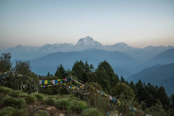 ネパールヒマラヤのアンナプルナ保護区トレッキングのプーンヒルからダワギリ 8167M — ストック写真