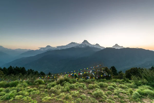 Dhaulagiri 8167M Montaña Poon Hill Caminata Santuario Annapurna Nepal Himalaya — Foto de Stock