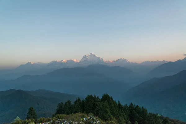 Dhaulagiri 8167M Montanha Poon Hill Caminhada Santuário Annapurna Nepal Himalaia — Fotografia de Stock