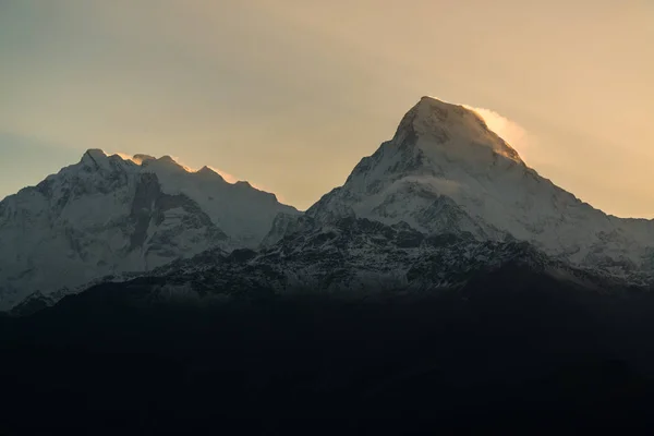 Dhaulagiri 8167M Montanha Poon Hill Caminhada Santuário Annapurna Nepal Himalaia — Fotografia de Stock