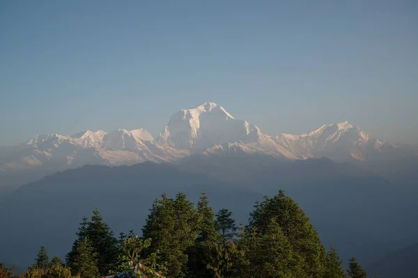 Dhaulagiri 8167M Berg Från Poon Hill Annapurna Sanctuary Trek Nepal — Stockfoto