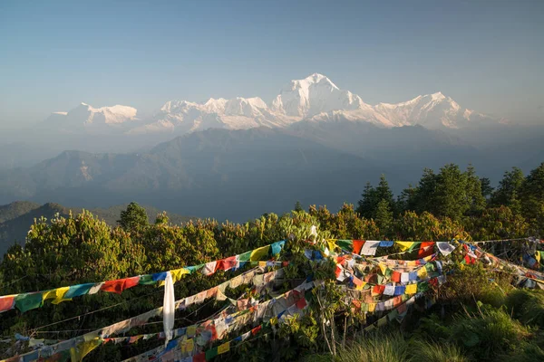 Dhaulagiri 8167M Nepal Himalaya Annapurna Kutsal Trek Poon Hill Dağ — Stok fotoğraf