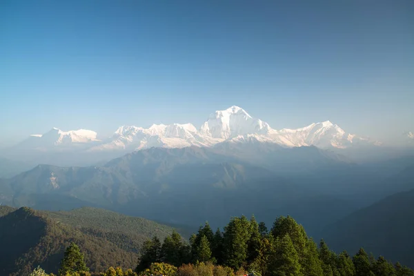 Dhaulagiri 8167M Berg Från Poon Hill Annapurna Sanctuary Trek Nepal — Stockfoto