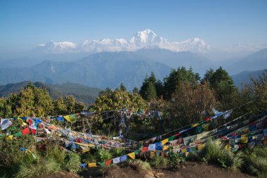 Dhaulagiri (8167m) Nepal Himalaya Annapurna kutsal trek Poon Hill dağ