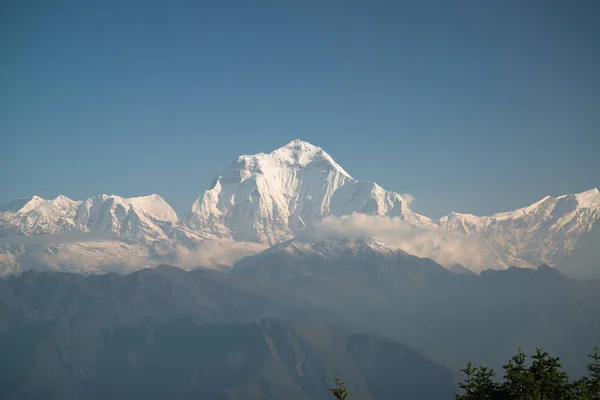 Dhaulagiri 8167M Berg Från Poon Hill Annapurna Sanctuary Trek Nepal — Stockfoto