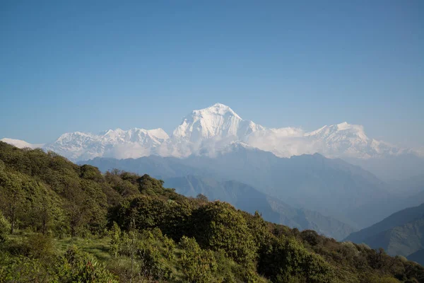 Dhaulagiri 8167M Nepal Himalaya Annapurna Kutsal Trek Poon Hill Dağ — Stok fotoğraf