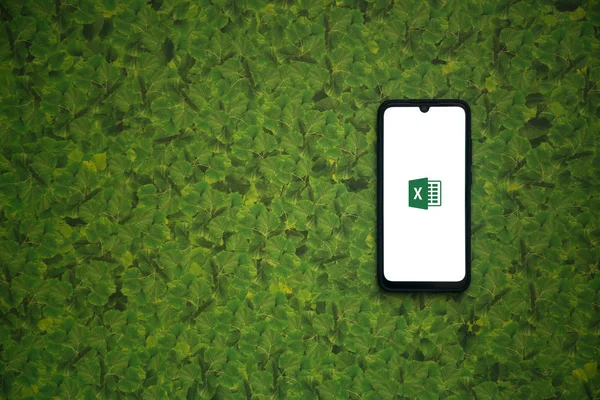 Bratislava, Slovakya, 8 Nisan 2019: yeşil yaprakları arka plan üzerinde akıllı telefon ekranında Microsoft Excel logosu.