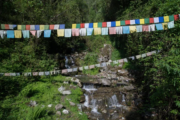 Annapurna Caminata Santuario Nepal Himalaya —  Fotos de Stock