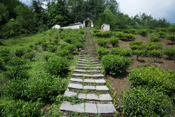 Annapurna Sanctuary Trek Nepal Himalaya — Stockfoto