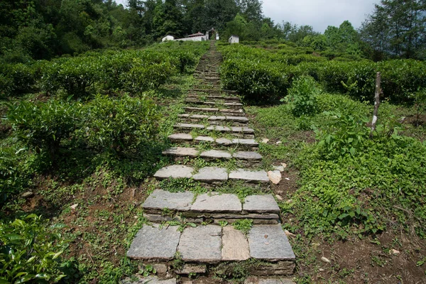 Annapurna Sanctuary Trek Nepal Himalaya — Stockfoto