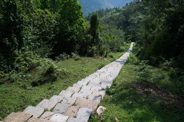 Annapurna Caminata Santuario Nepal Himalaya — Foto de Stock