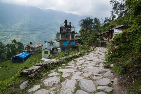 Annapurna Caminata Santuario Nepal Himalaya — Foto de Stock